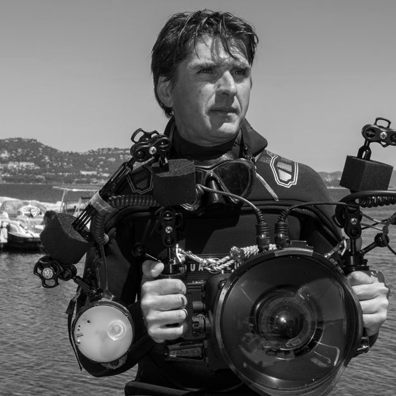 Fabrice Guérin Photographe en milieux sous-marin et animalier