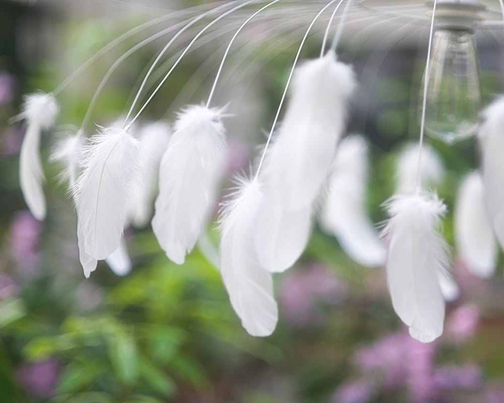 Détails des plumes d'oies blanches du luminaire suspendu "Séléne" de la plumassière Plumavera